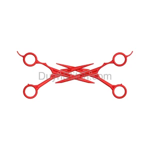 Crossed Scissors