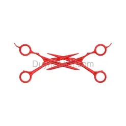 Crossed Scissors