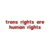 Trans Rights Embroidery Patch