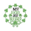 Not Lucky Just Blessed Embroidery
