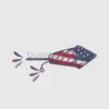 Patriotic Firework Rocket Design