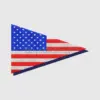 Chevron American Flag Patch