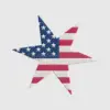 Patriotic Embroidered Star Design