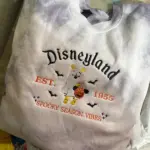 customer trview Disneyland file review